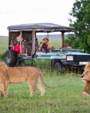  Family Safari in Masai Mara & Laikipia