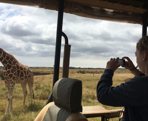 giraffe-on-safari-kids-family-560×460