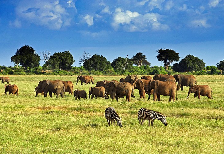 kenya-tsavo-national-park
