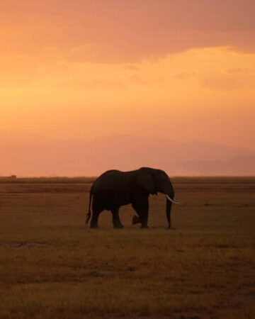  Tsavo East national park