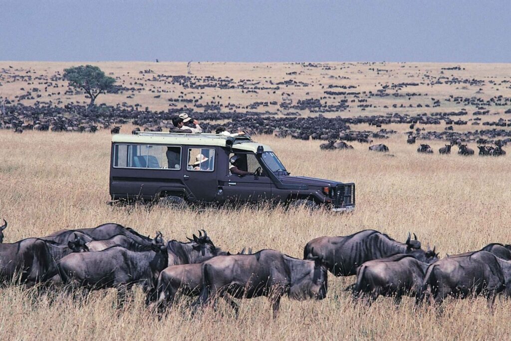 from-nairobi-3-day-masai-mara-wildebeest-migration-safari-3094059