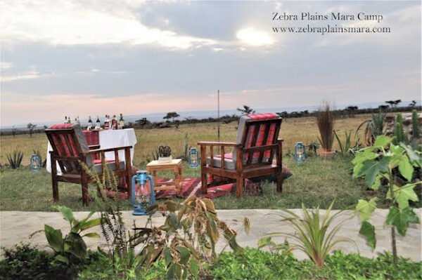 Zebra plain common area