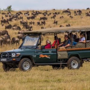 game drives