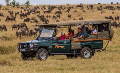 game drives
