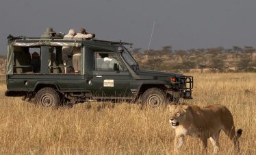 kicheche bush camp photography safari