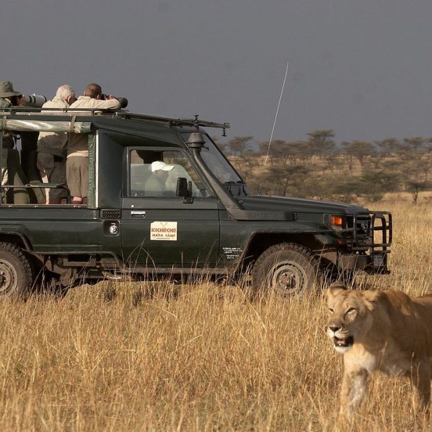 kicheche bush camp photography safari