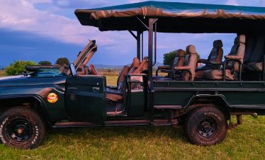 game drives