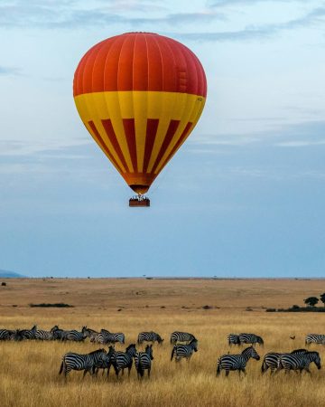 Masai mara national reserve