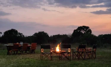 4 Days Fly-in Luxury Safari Exclusive Stay at Lion’s Cradle Camp