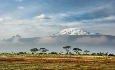 10-Day Best of Kenya & Tanzania Safari: Unforgettable Wildlife safari adventure